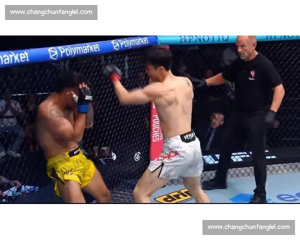 UFC焦点战：桑托斯硬碰锤子 谁能在擂台上掌控胜局